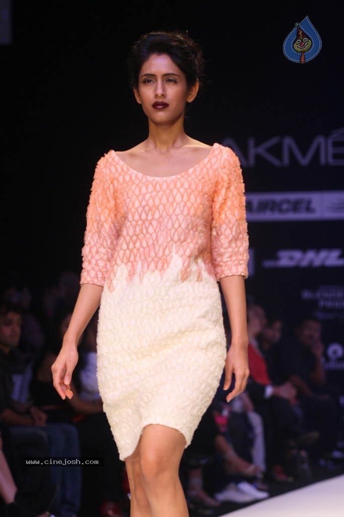 Lakme Fashion Week Grand Finale All Shows - 58 / 146 photos