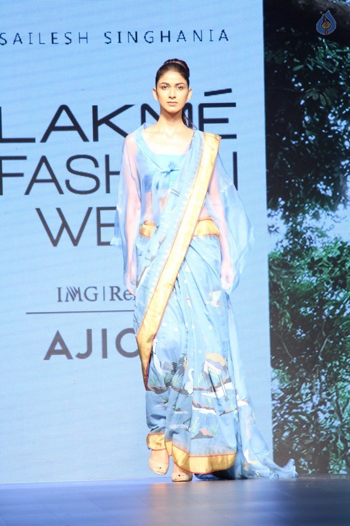 Lakme Fashion Week Summer 2017 Photos - 22 / 42 photos