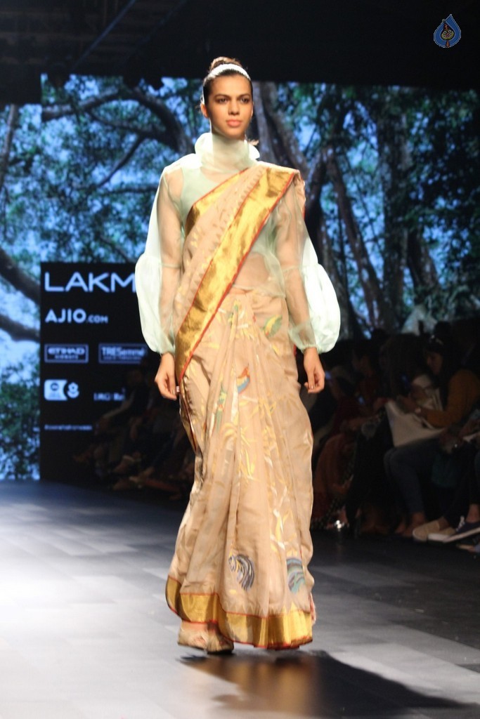 Lakme Fashion Week Summer 2017 Photos - 31 / 42 photos
