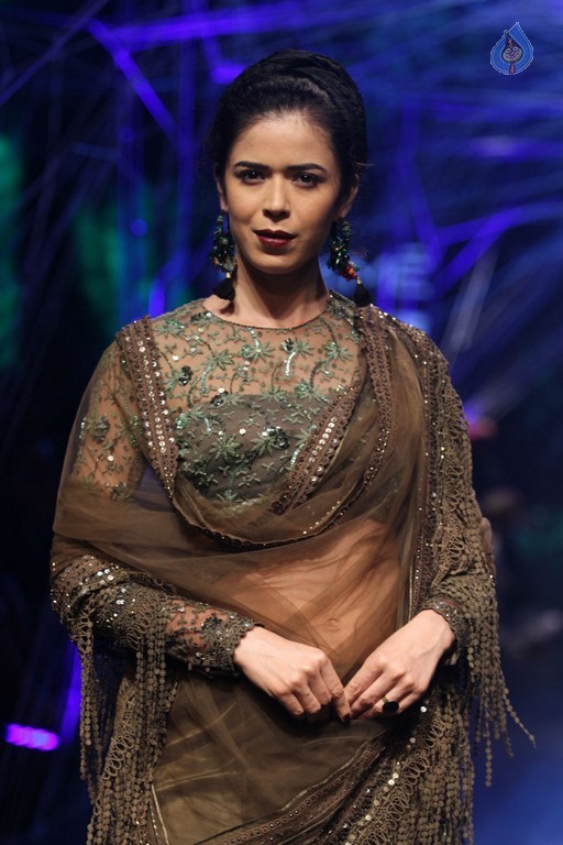 Lakme Fashion Week Winter Festive 2016 - 48 / 82 photos