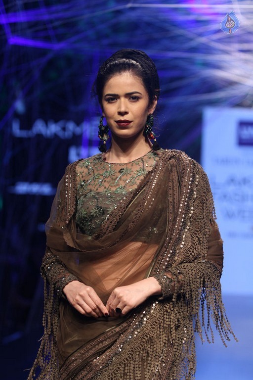 Lakme Fashion Week Winter Festive 2016 - 62 / 82 photos