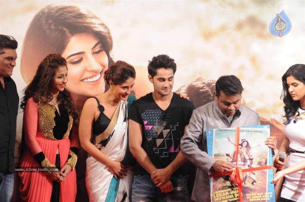 Lekar Hum Deewana Dil Film Music Launch - 11 / 149 photos