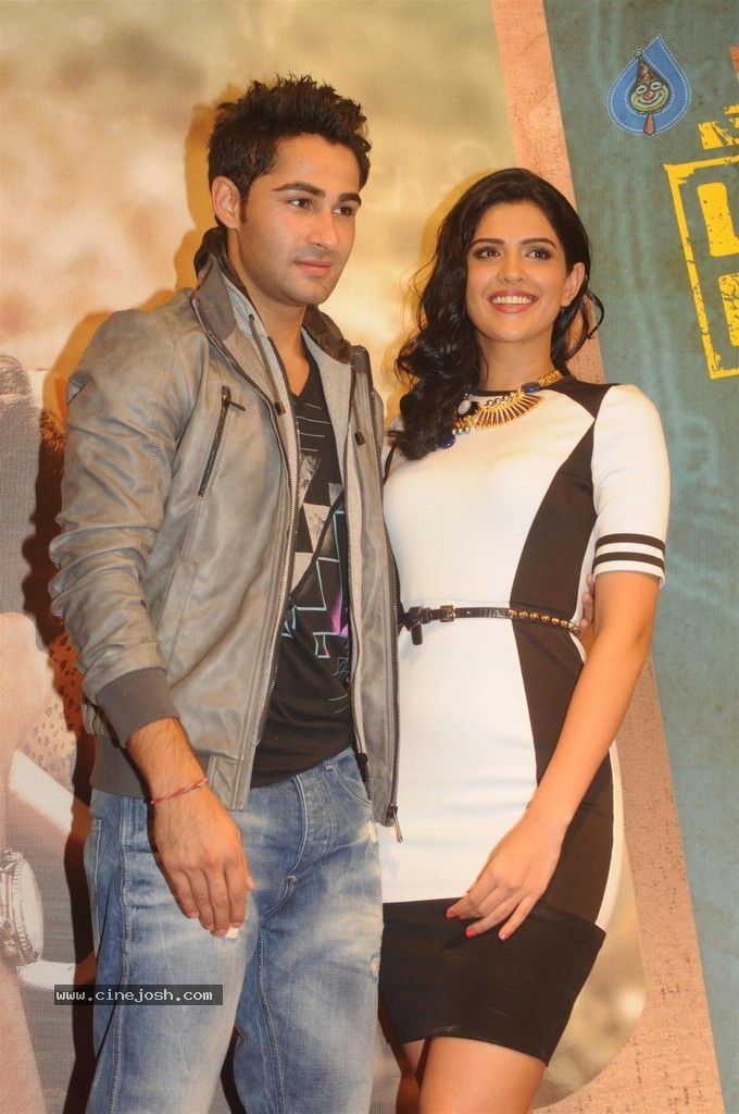 Lekar Hum Deewana Dil Film Music Launch - 96 / 149 photos