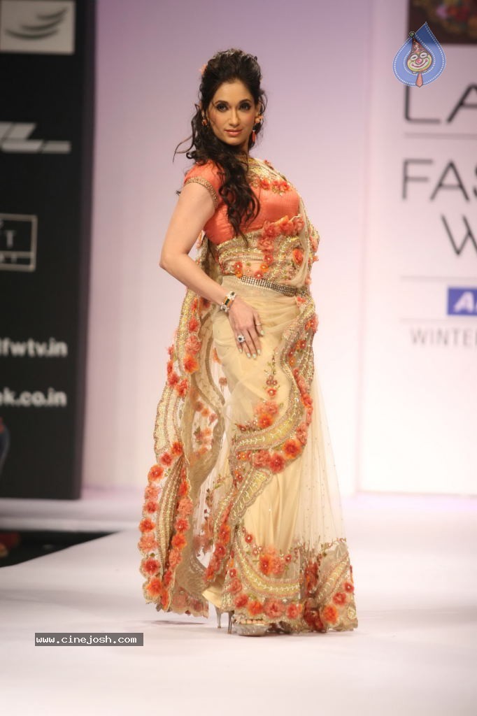 LFW Winter Festive 2011 All Shows - 26 / 34 photos
