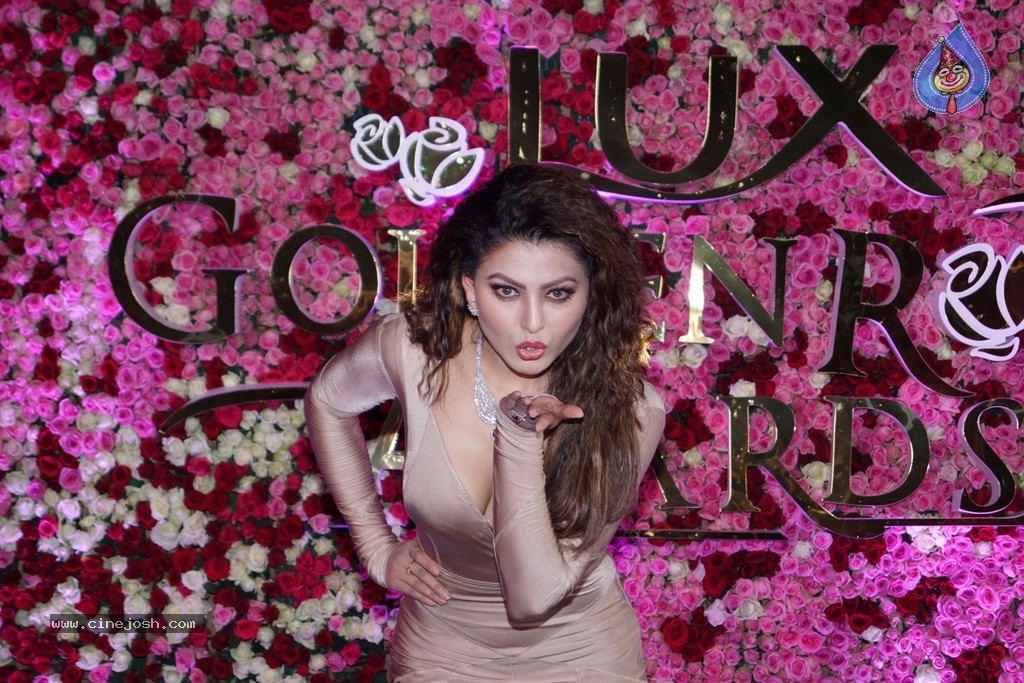 Lux Golden Rose Awards 2017 Red Carpet - Photo 14 of 36
