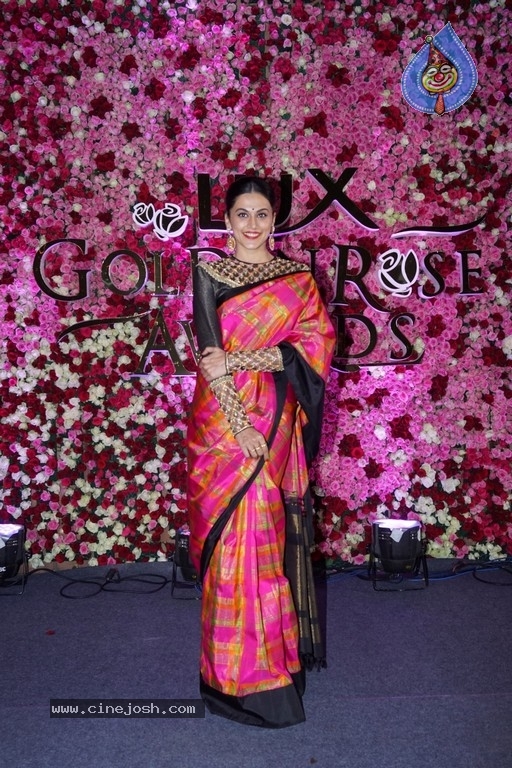 Lux Golden Rose Awards 2017 Red Carpet - 29 / 36 photos