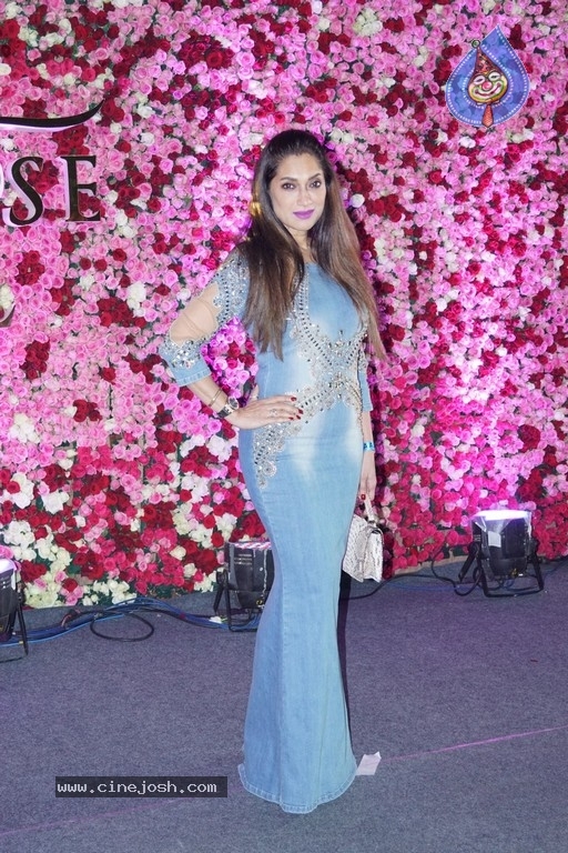 Lux Golden Rose Awards 2017 Red Carpet - 30 / 36 photos