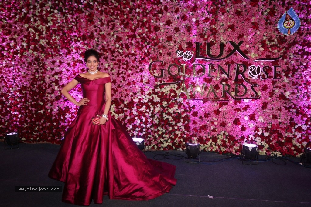 Lux Golden Rose Awards 2017 Red Carpet - 32 / 36 photos