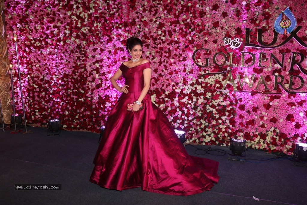 Lux Golden Rose Awards 2017 Red Carpet - 33 / 36 photos