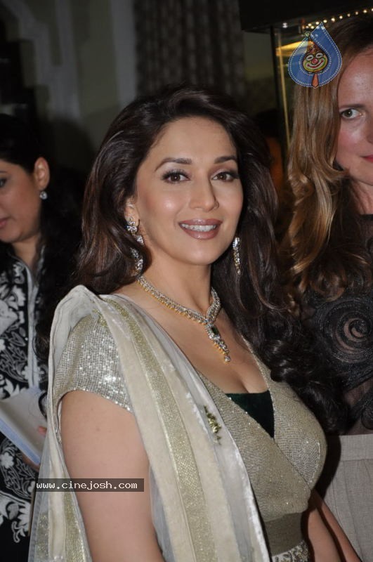 Madhuri Dixit at Emeralds for Elephants Launch - 1 / 29 photos
