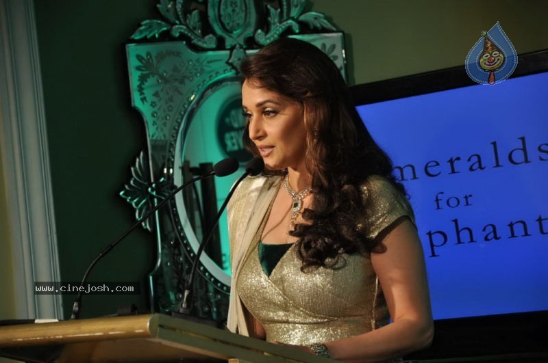 Madhuri Dixit at Emeralds for Elephants Launch - 9 / 29 photos