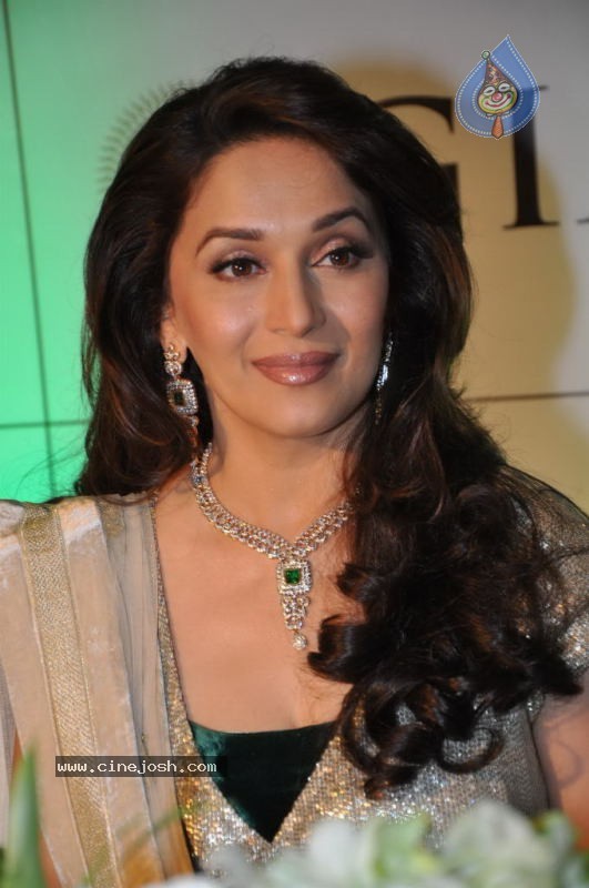 Madhuri Dixit at Emeralds for Elephants Launch - 12 / 29 photos