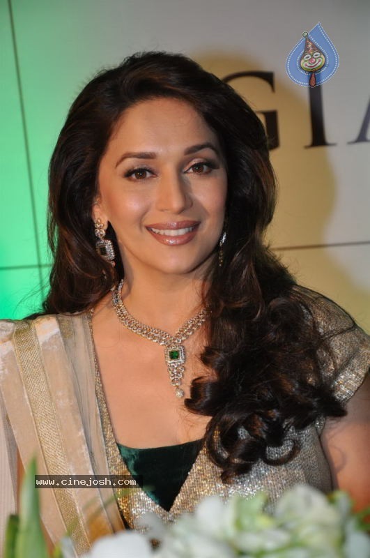 Madhuri Dixit at Emeralds for Elephants Launch - 13 / 29 photos