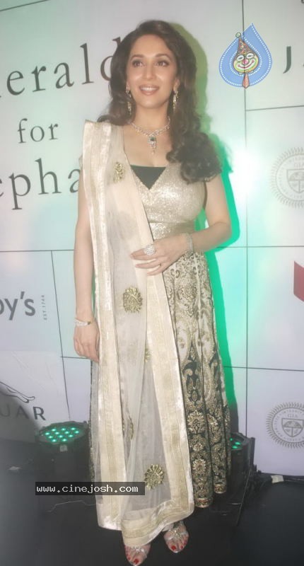 Madhuri Dixit at Emeralds for Elephants Launch - 19 / 29 photos