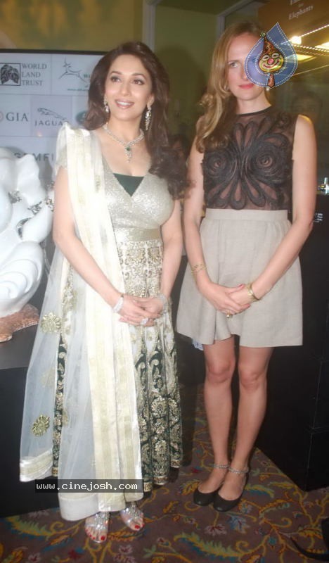 Madhuri Dixit at Emeralds for Elephants Launch - 22 / 29 photos