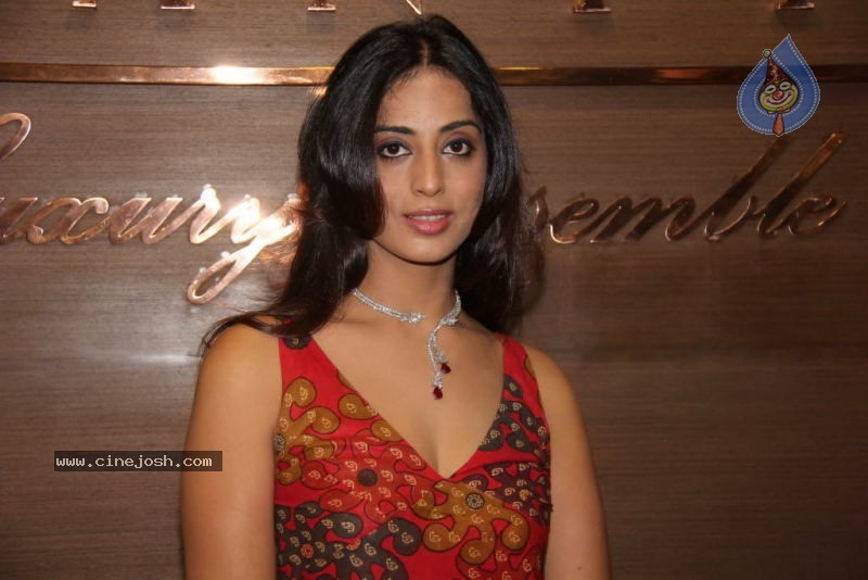 Mahie Gill and Archana Kochar at Gitanjali Gianti Store - 23 / 28 photos