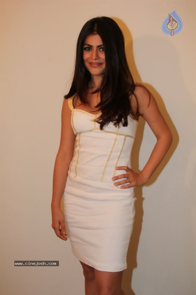 Main Aur Mr. Right Movie Launch - 22 / 39 photos