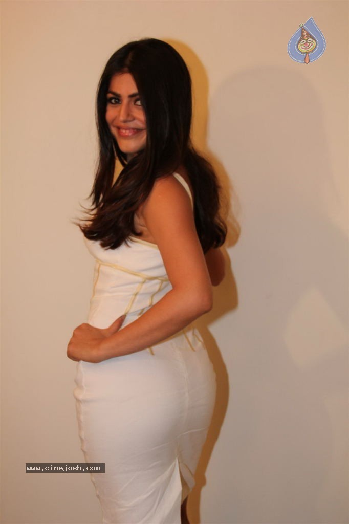 Main Aur Mr. Right Movie Launch - 24 / 39 photos
