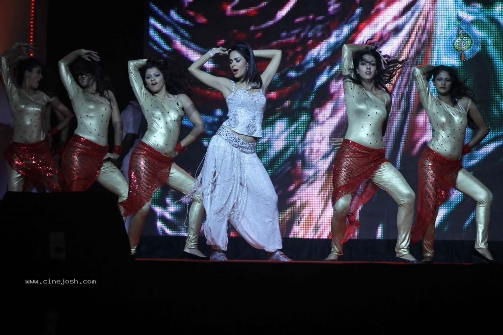 Mallika Sherawat at Tulip Star New Year Event - 19 / 48 photos