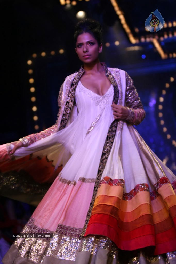 Manish Malhotra Show at LFW 2011 - 31 / 31 photos