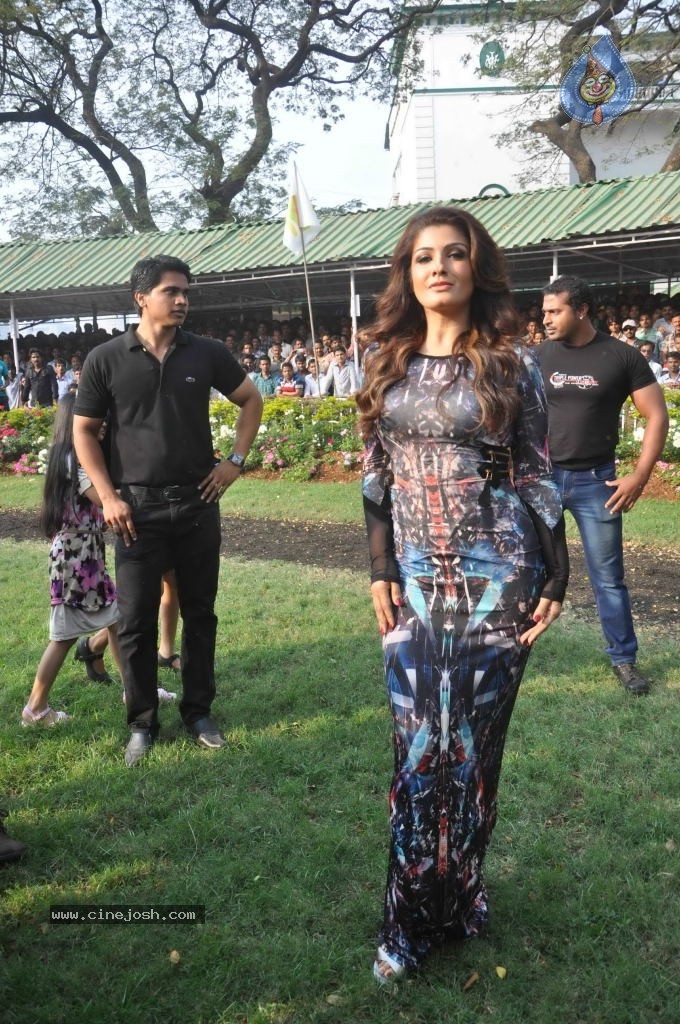 McDowell Signature Indian Derby 2014 - 19 / 78 photos