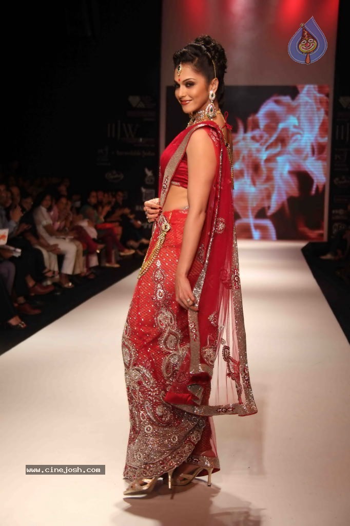 Models at IIJW 2011 Ramp Walk Show - 59 / 91 photos