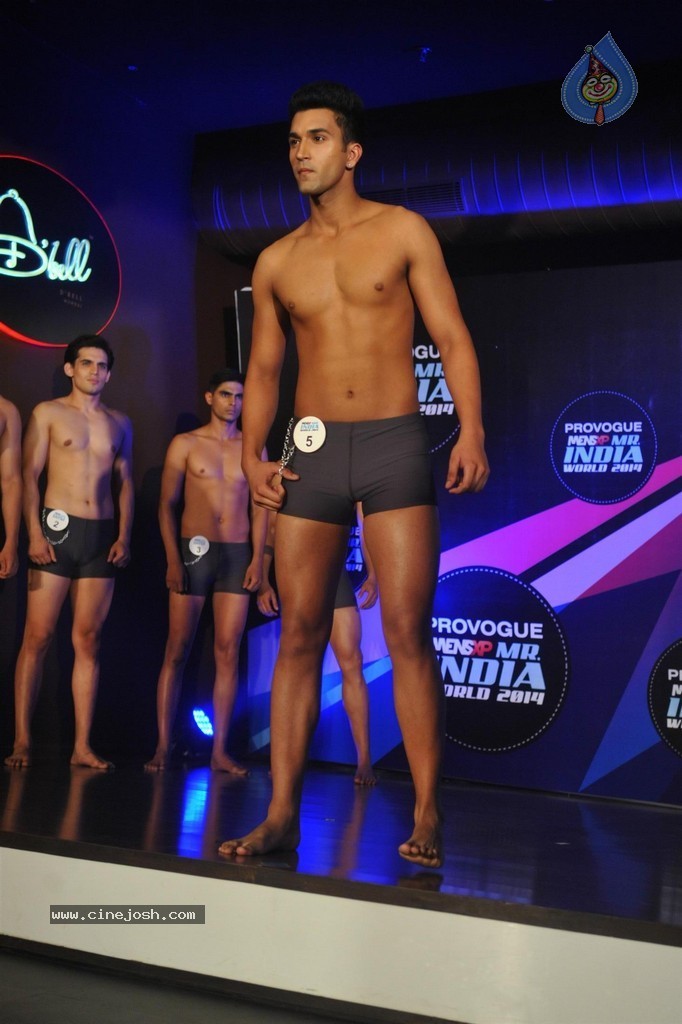 Mr India 2014 Grand Finale - 6 / 98 photos