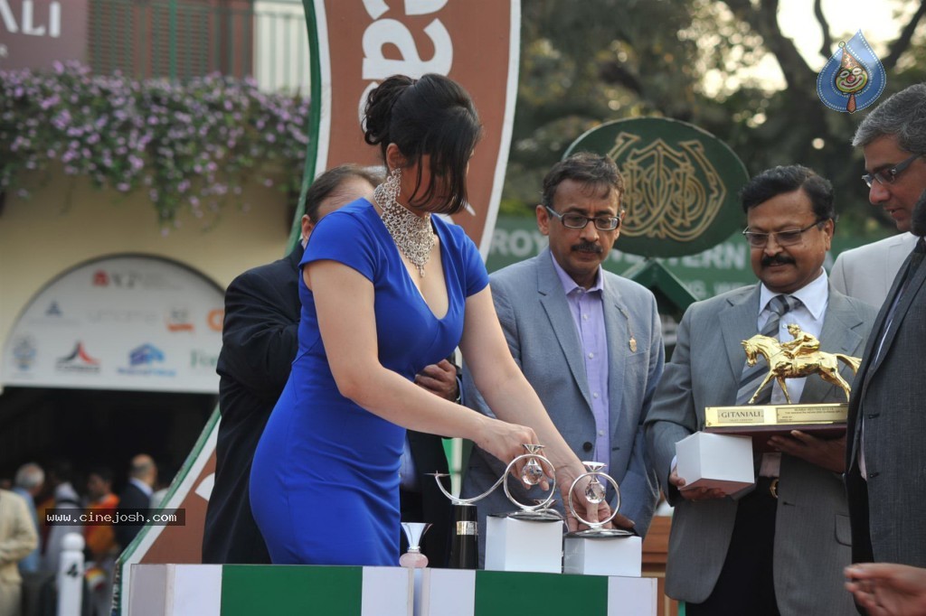 Nakshatra Guineas Race 2012 Event - 26 / 60 photos