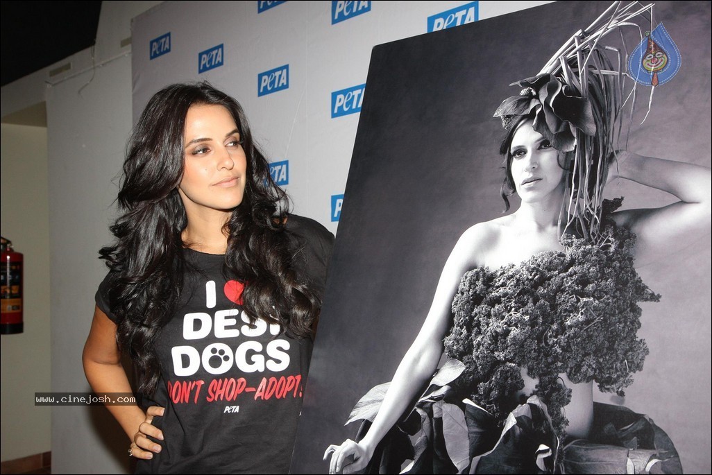 Neha Dhupia at Peta Pro-Veg Ad Campaign - 25 / 31 photos