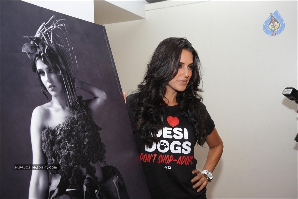 Neha Dhupia at Peta Pro-Veg Ad Campaign - 29 / 31 photos