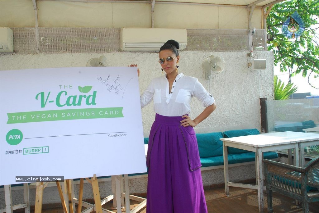 Neha Dhupia Launches PETA V Card - 7 / 35 photos