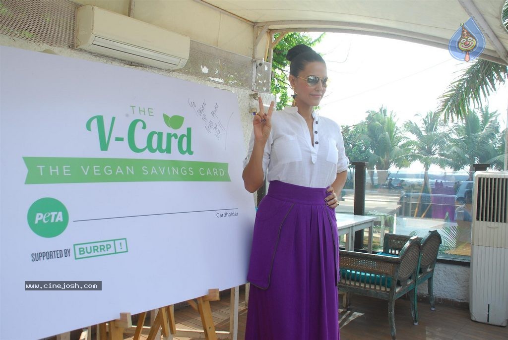 Neha Dhupia Launches PETA V Card - 12 / 35 photos