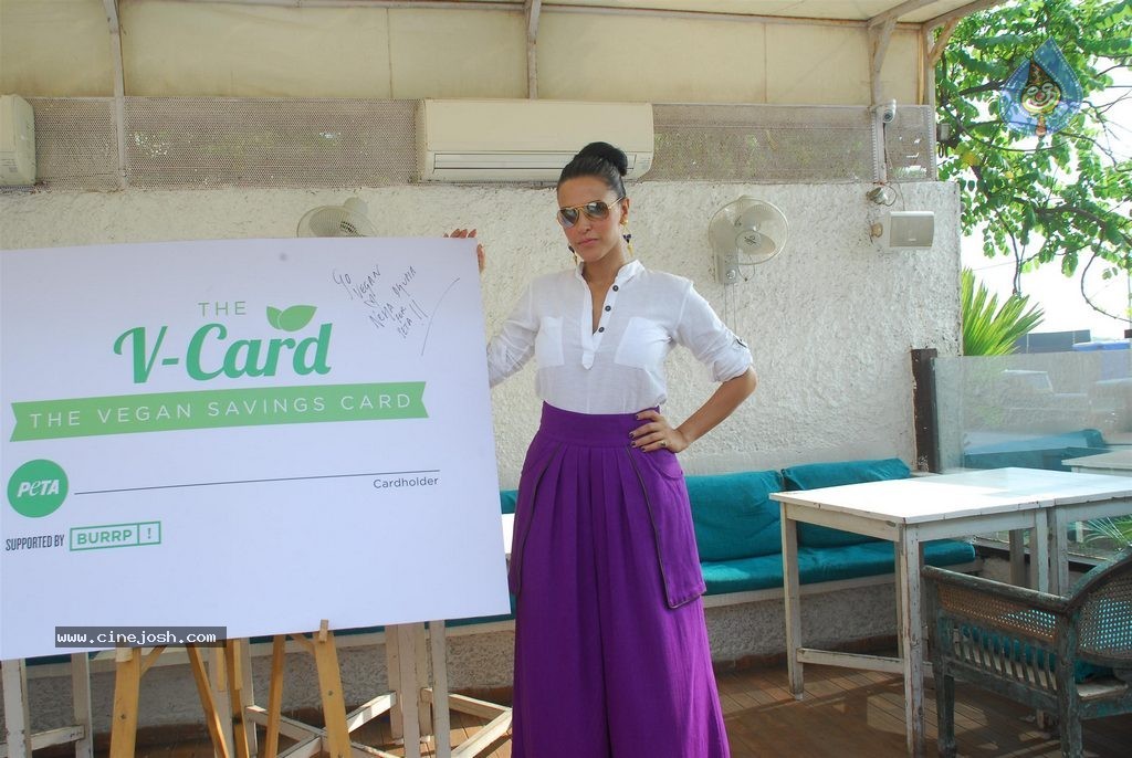 Neha Dhupia Launches PETA V Card - 26 / 35 photos