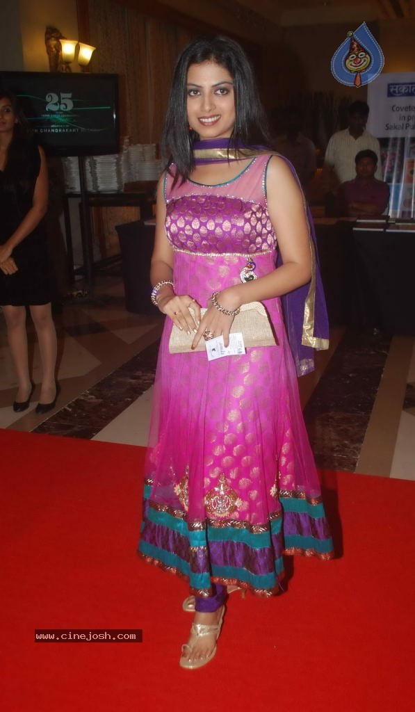 Nitin Chandrakant Desai Book Launch - 42 / 47 photos
