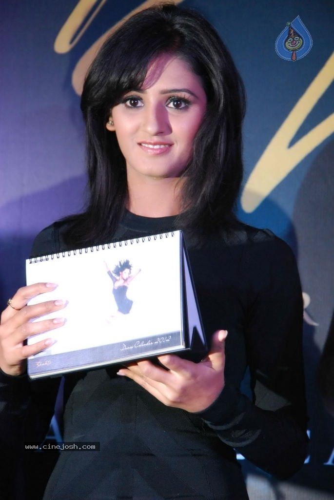 Nritya Shakti 2012 Calendar Launch - 32 / 49 photos