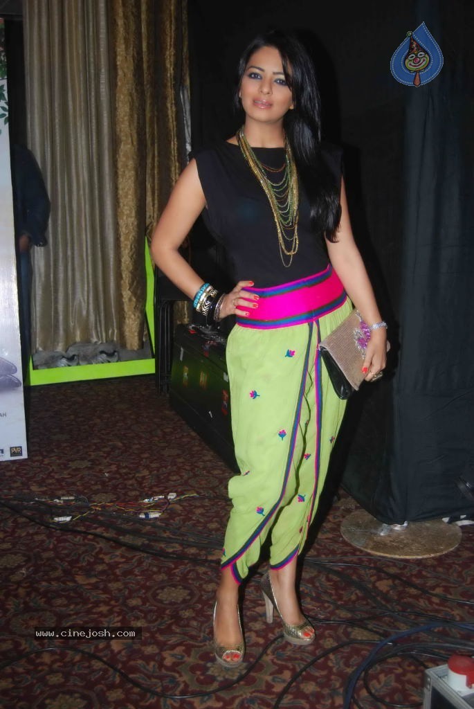 Pappu Can't Dance Saala Music Launch - 36 / 63 photos