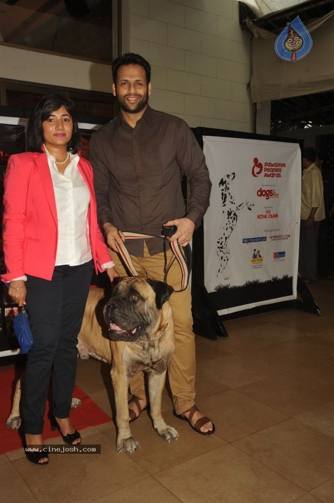 Pawsitive People Awards Ceremony - 15 / 48 photos
