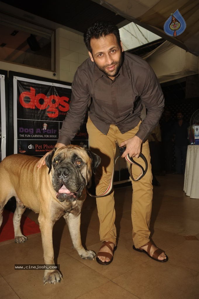Pawsitive People Awards Ceremony - 33 / 48 photos