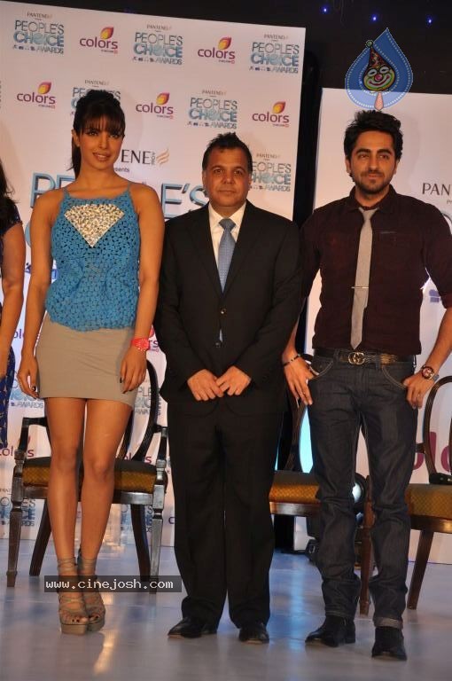 Priyanka Chopra at Peoples Choice Awards 2012 - 38 / 42 photos