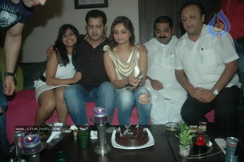 Rahul and Dimpy Mahajan Bday Party - 28 / 42 photos