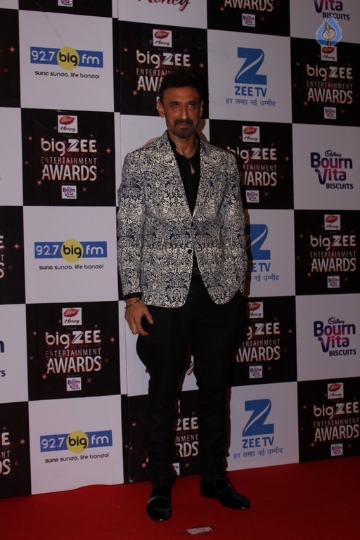 Zee Entertainment Awards Red Carpet  - 13 / 60 photos