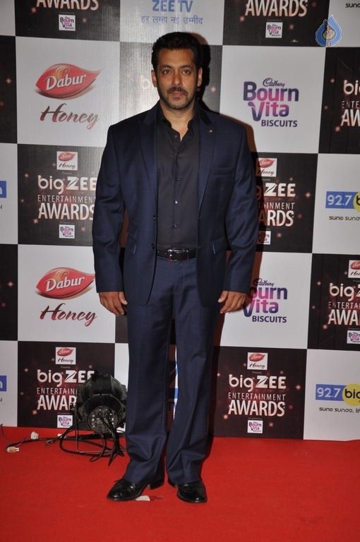 Zee Entertainment Awards Red Carpet  - 51 / 60 photos