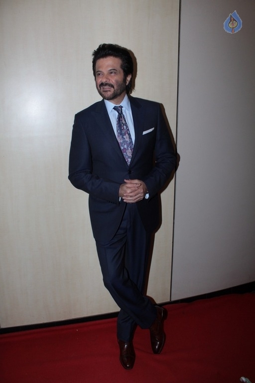 Red Carpet Of Dada Saheb Phalke Academy Awards - 22 / 30 photos