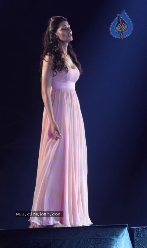 Rockstar Movie Team Performs at Mum Concert - 38 / 57 photos