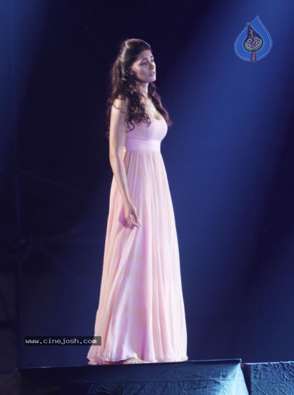 Rockstar Movie Team Performs at Mum Concert - 44 / 57 photos