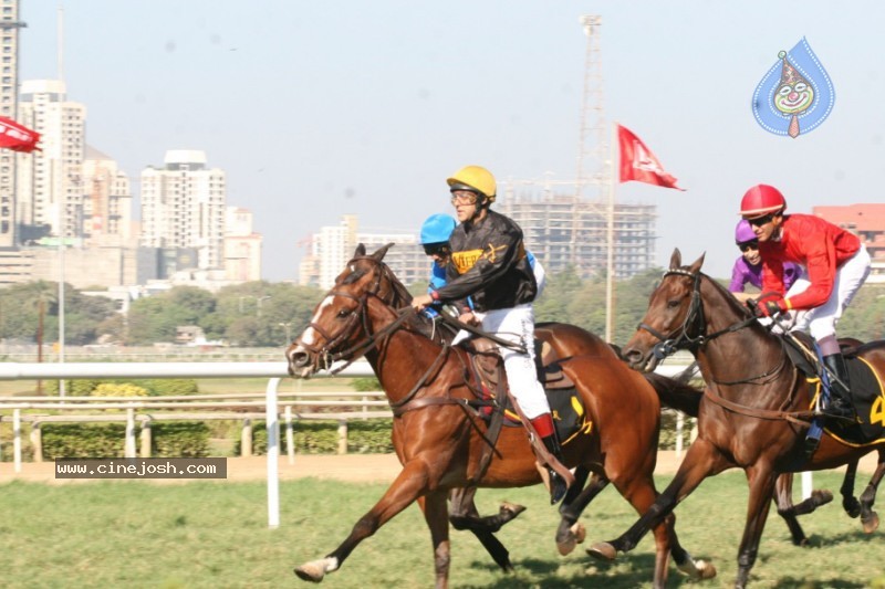 Salman Khan,Zarine Khan At Veer Exhibition Race - 1 / 43 photos