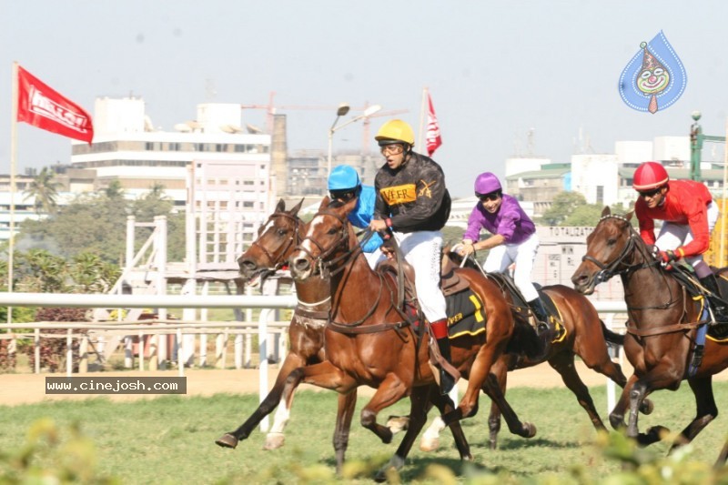 Salman Khan,Zarine Khan At Veer Exhibition Race - 24 / 43 photos