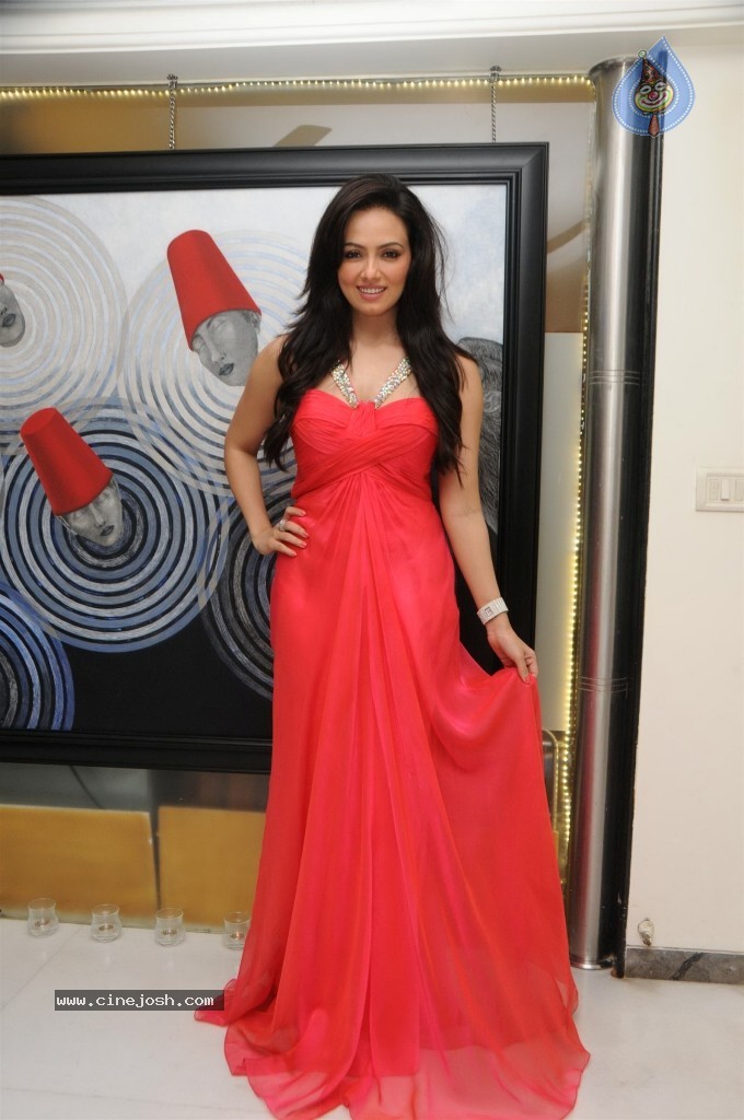 Sana Khan Bday Celebrations - 33 / 73 photos
