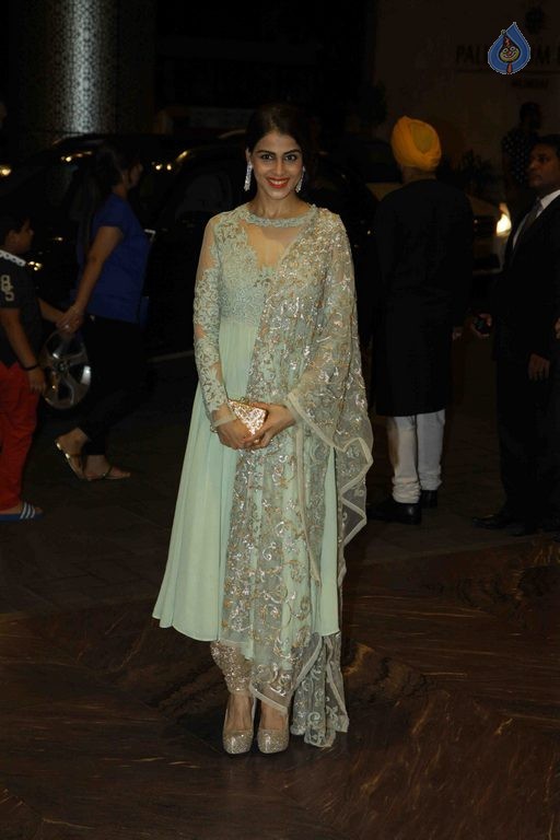 Shahid Kapoor and Mira Rajput Wedding Reception 1 - 29 / 54 photos