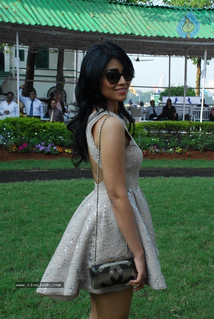 Shriya at ABC Nucleus Indian 2000 Guineas n Constellation Salver - 19 / 56 photos